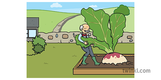 ks1 the enormous turnip story powerpoint old man pull Illustration - Twinkl