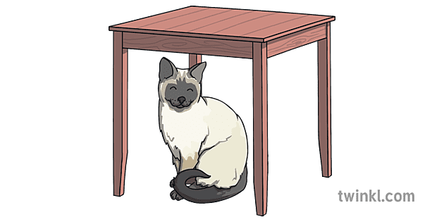 cat under the table