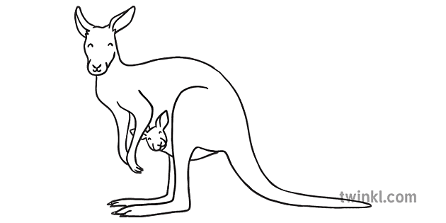 Kangaroo Black and White Illustration - Twinkl