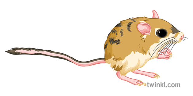 New Mexico Facts for Kids | State Teaching Wiki | Twinkl USA