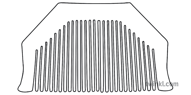 Kangha Schwarz Weiß 2 Illustration Twinkl