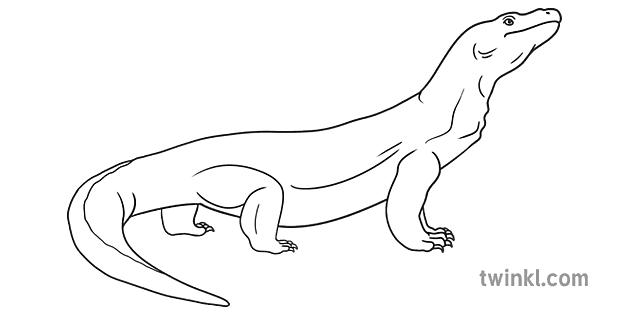 Комодо дракон Индонезия азиатские животные открытые глаза рептилии темы ks1
