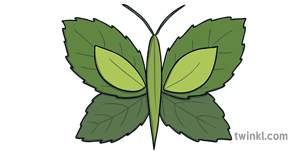 Leaf Animals Butterfly Summer Green Leaves Craft KS1 EYFS Illustration -