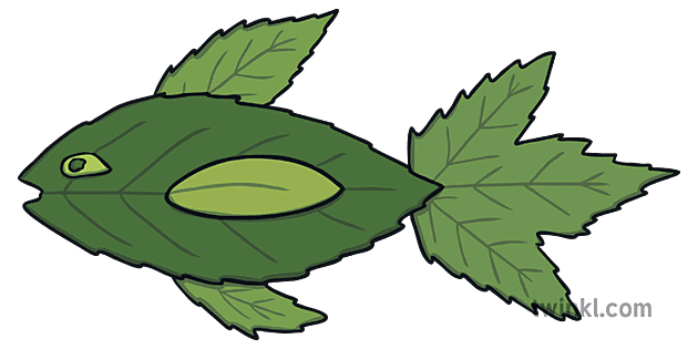 Leaf Animals Fish Summer Green Leaves Craft KS1 EYFS Illustration - Twinkl