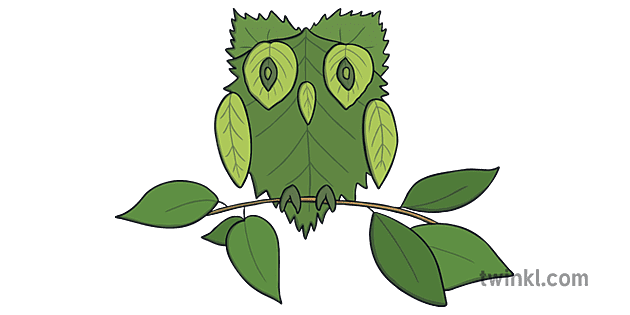 Leaf Animals Owl Summer Green Leaves Craft KS1 EYFS Illustration - Twinkl