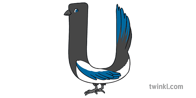 Letter U Urraca Magpie Spanish Alphabet Animals Ks1 Illustration Twinkl