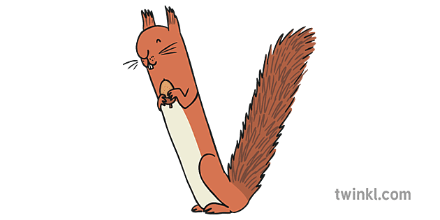 letter v squirrel romanian alphabet animal copy - Twinkl