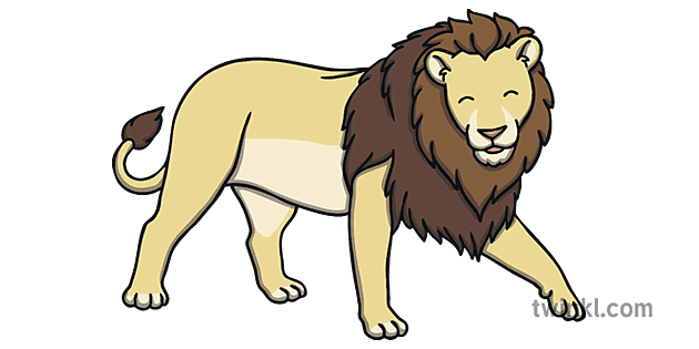 Lion Walking Illustration - Twinkl