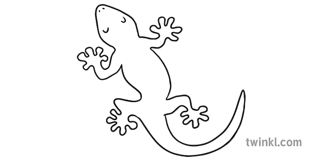 Eidechse Umriss Moasaic Gaudi Tier ks1 Schwarz Weiß Illustration - Twinkl