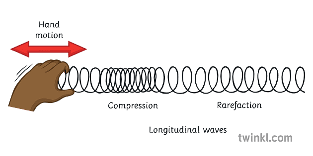 onde-longitudinali-illustration-twinkl