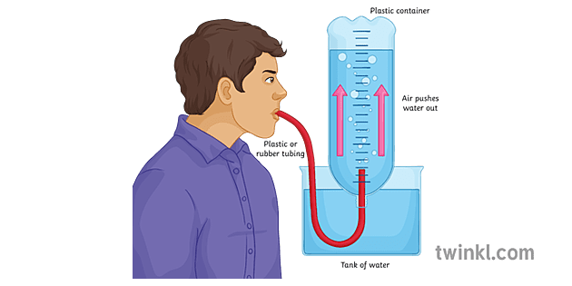 Lung Volume Test Experiment Respiration Science KS3