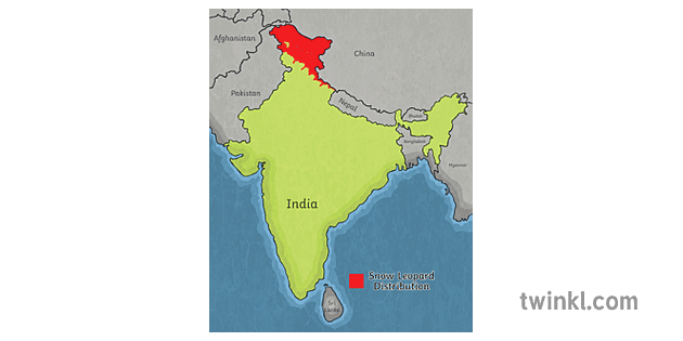 map of india with snow leopard distribution highlighted map year 6 hass