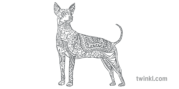 Mexikaanse hond alebrije bewustheid kleur aktiwiteit velle Mexikaanse dag