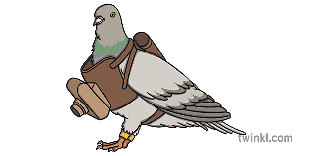 Military Carrier Pigeon World War 1 WW1 Animal Open Eyes KS1 Illustration -