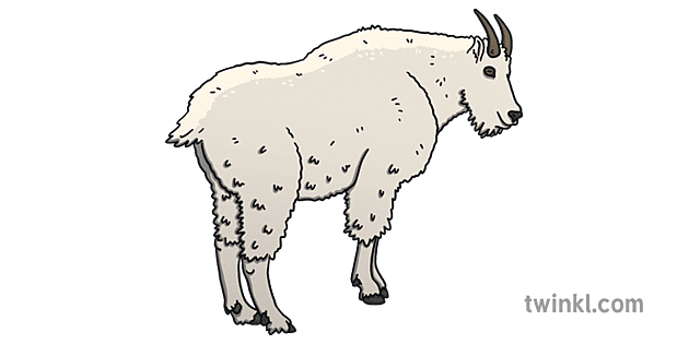 Mountain Goat Illustration - Twinkl