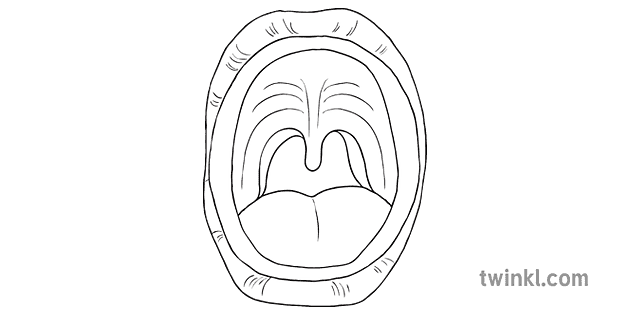 Mouth Without Teeth Diagram Digestion Science KS2 Black and White RGB