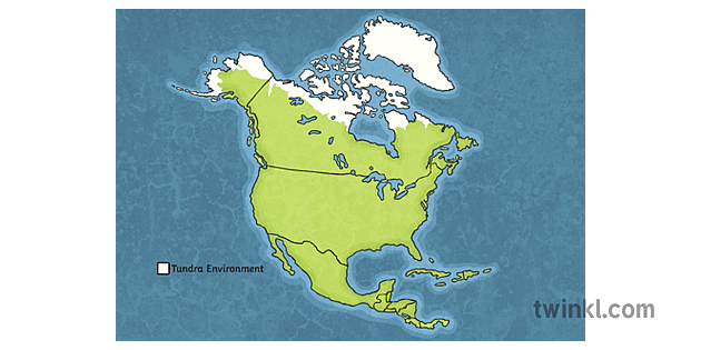 norte américa tundra entornos ks2 año 5 geografía hass europa y norte  américa