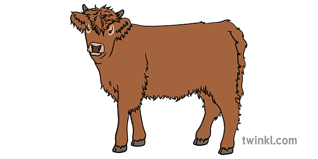 Boi Vițel Animal Bebeluș Bou Die Verhaal Van Racheltjie De Bere Begripslees