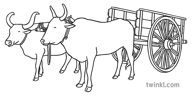 lembu tarik kereta hitam putih Illustration - Twinkl