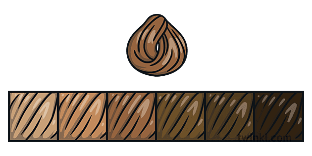 Page 2 Brown Swatches Png Illustration - Twinkl