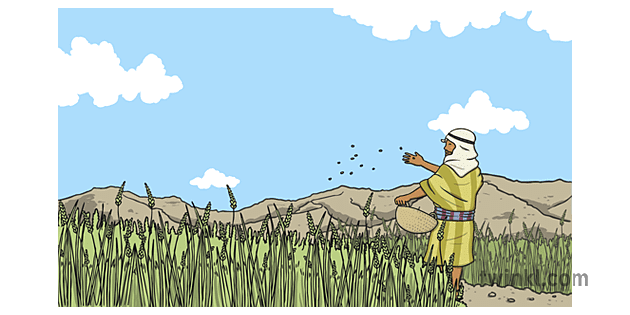 Parable of the Sower 5 1 Illustration - Twinkl
