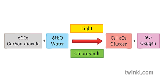 equation for photosynthesis