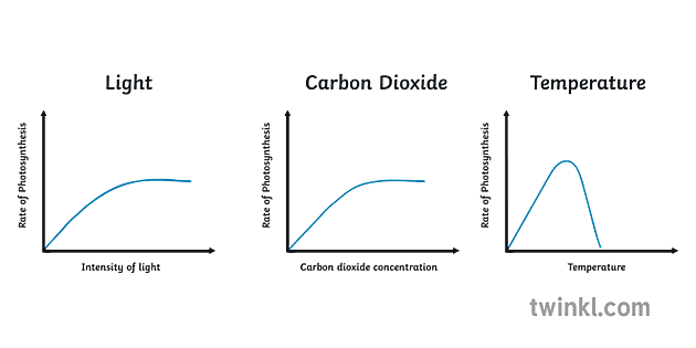 photosynthesis-limiting-factors-graphs-science-secondary