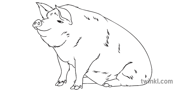 good grades clipart black and white pig