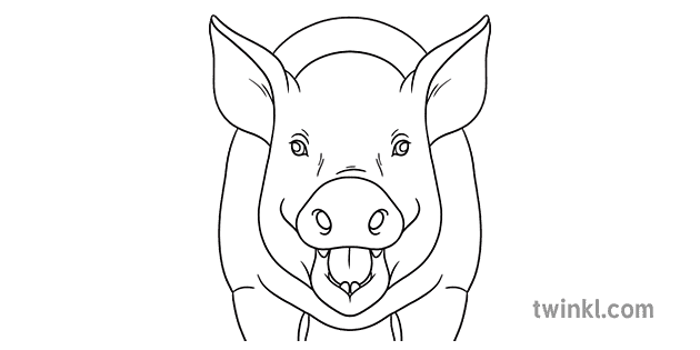 good grades clipart black and white pig