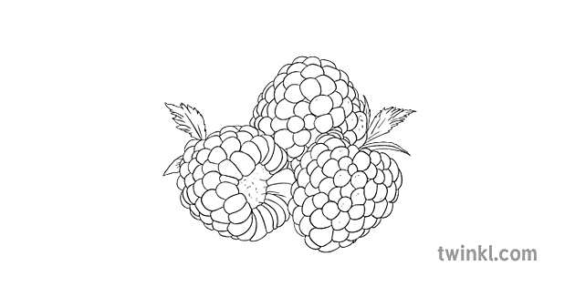 raspberry clip art black and white