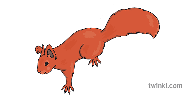 Red Squirrel Climbing Illustration - Twinkl