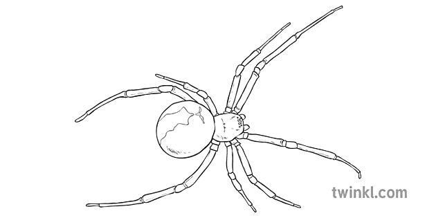 predator blanco y negro