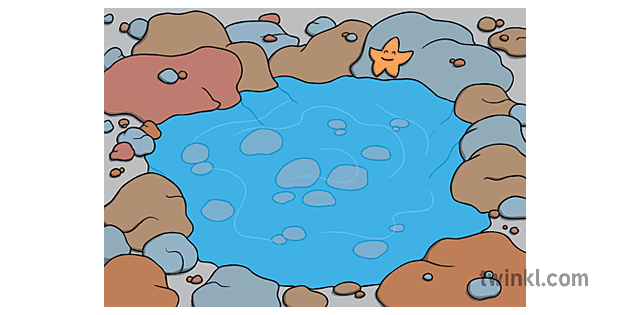 Rock Pool Background Rocks Sea Water EYFS Illustration - Twinkl