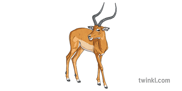 impala animal clipart black&white