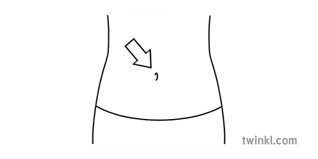 SYM Belly Button BW Illustration - Twinkl