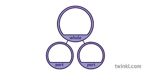 SYM Part Whole Model Colour Illustration - Twinkl