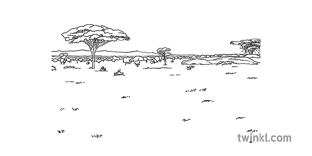 大草原景观背景彩色线条荒野草原南部非洲ks1 黑白rgb