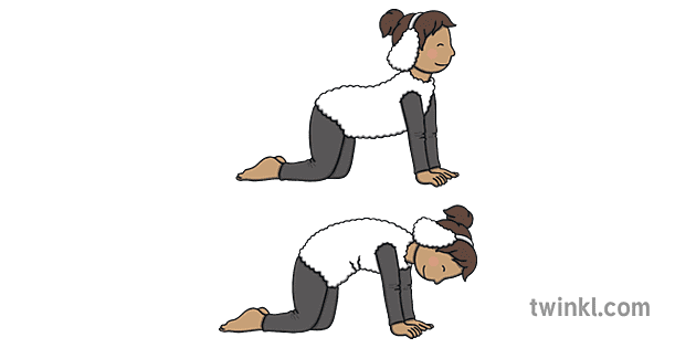 Sheep Pose Illustration - Twinkl