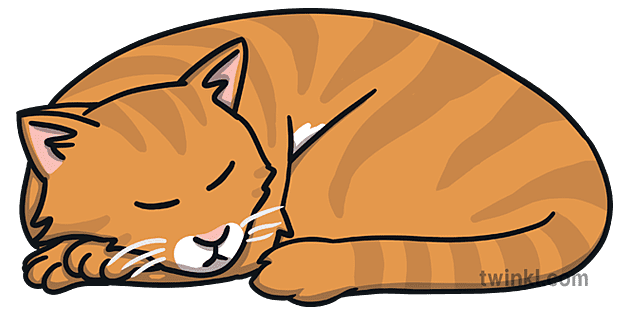 Sleeping Cat Png Illustration