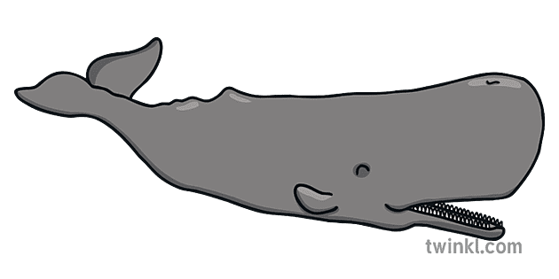 マッコウクジラの海の情報の層パワーポイント英語ks1