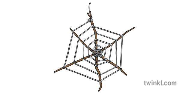 spider web string sticks craft ks1 eyfs Illustration - Twinkl