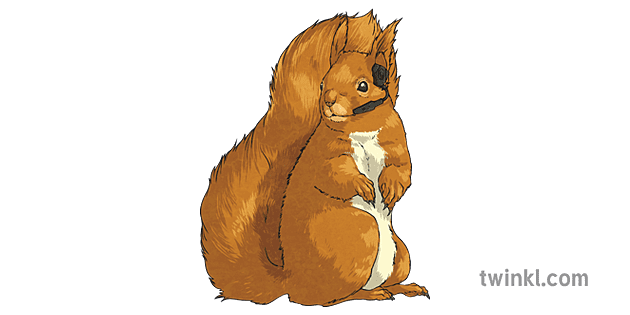 松鼠與藍牙耳機動物哺乳動物紅色秋天英語ks2 Illustration