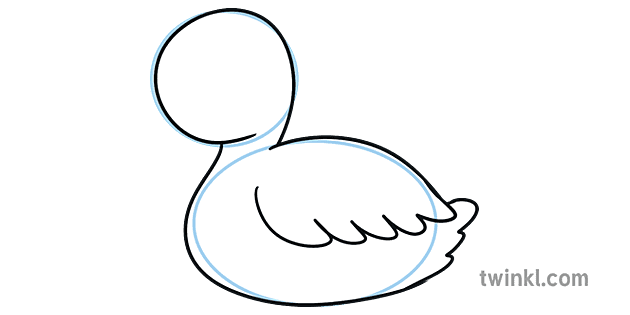 Step 03 How To Draw A Baby Swan Illustration - Twinkl