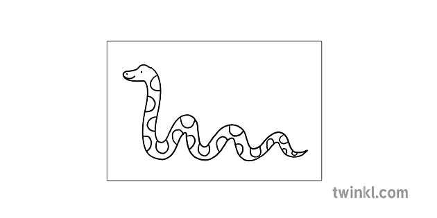 paso 5 dibujo python copy Illustration - Twinkl