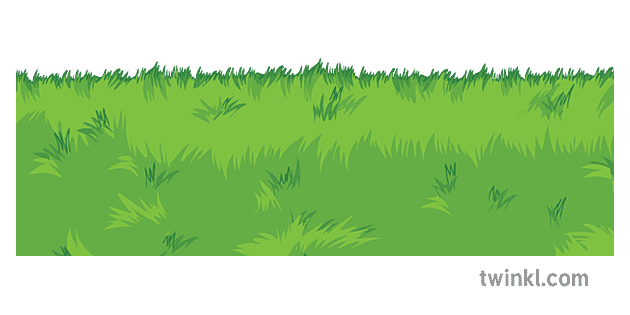 Surface Grass Diagram Ecosystems Science Secondary Illustration - Twinkl