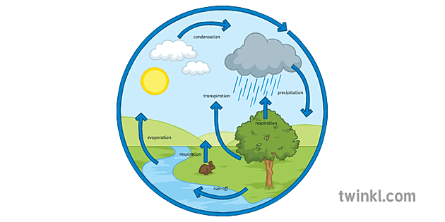 The Water Cycle Labeled Science Ecology Secondary - Twinkl