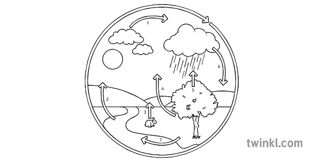 the water cycle unlabeled science ecology secondary black and white rgb