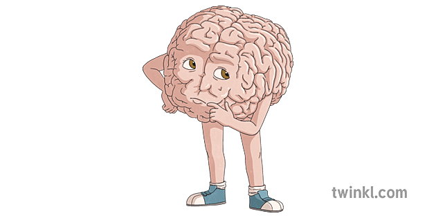 Thinking Brain Illustration - Twinkl