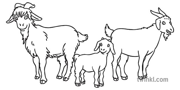 Three Billy Goats Gruff Together Black And White Rgb Illustration Twinkl