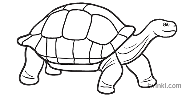 Tortoise Emoji Animals Nature Science Twinkl Newsroom KS2 Black and White